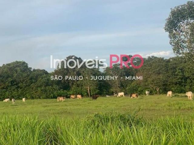 Sítio e chácara venda em Região Geográfica Imediata de Confresa - Vila Rica, São Felix do Araguaia