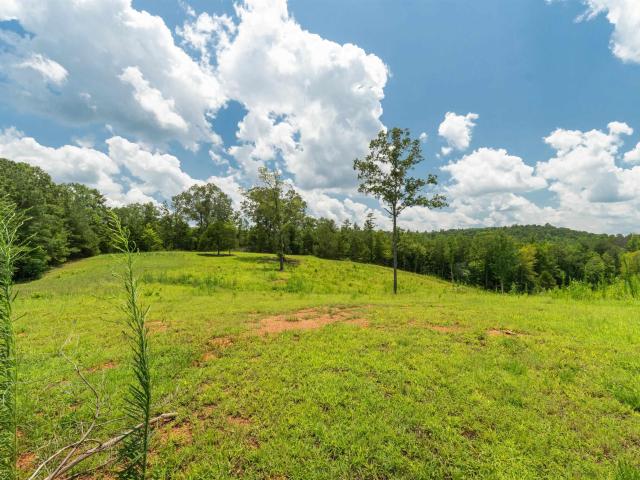 Land for sale in Wedowee, Randolph County