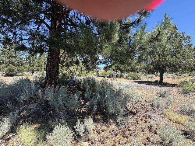 Land for sale in Weed, California