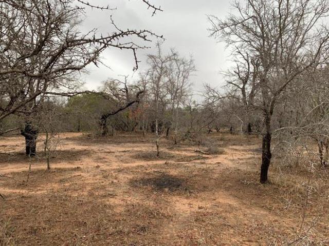Property for sale in Mopani, Limpopo