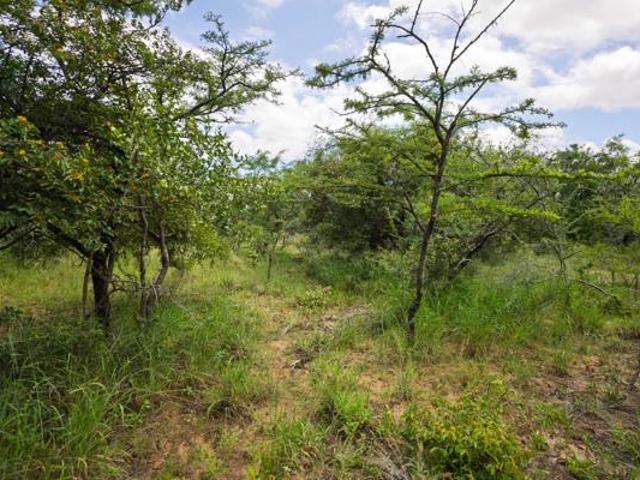 Property for sale in Mopani, Limpopo