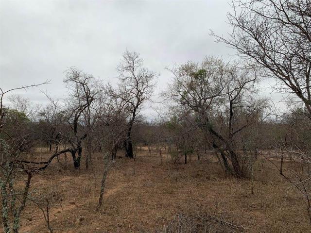 Property for sale in Mopani, Limpopo