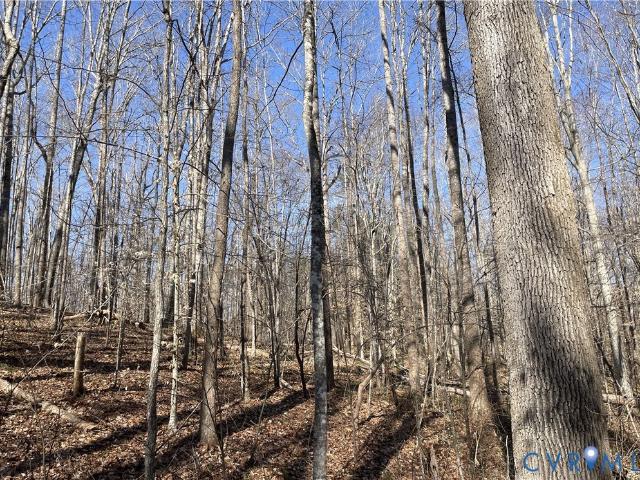 Land for sale in Virginia