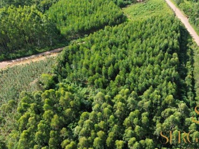 Sítio e chácara venda em Região Geográfica Imediata de Charqueadas - Triunfo - São Jerônimo, Região Metropolitana de Porto Alegre