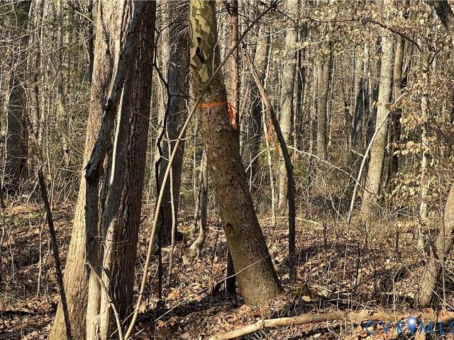 Land for sale in Plantersville, Lunenburg County