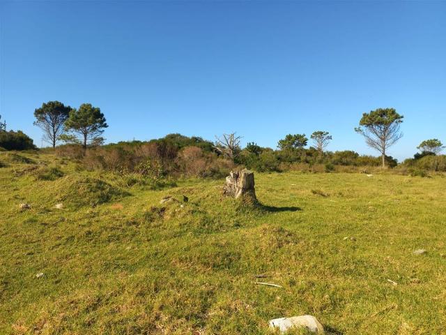 Property for sale in Groot Brak Rivier, Western Cape