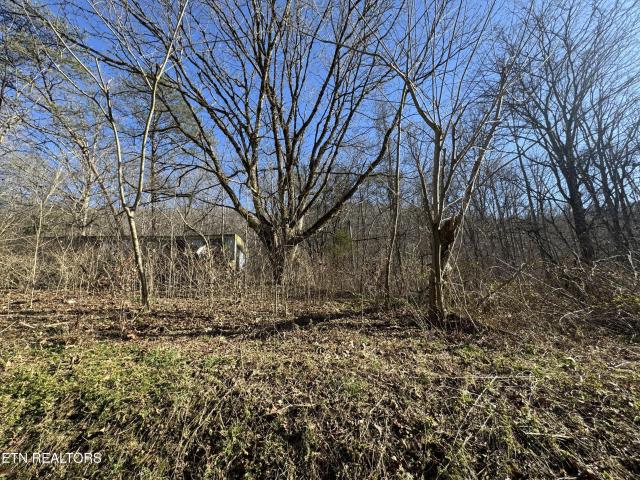 Land for sale in Tennessee