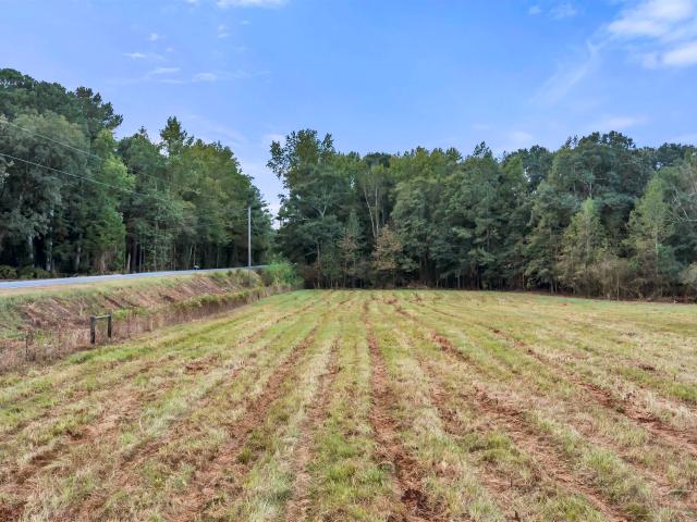 Land for sale in Plano, Centre