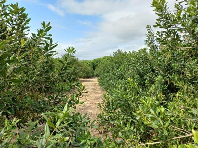 Property for sale in Umkhanyakude district municipality, Kwazulu-natal