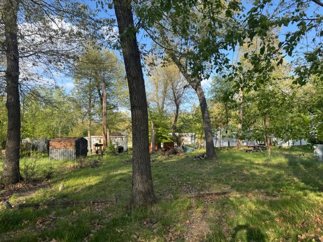 Land for sale in Sublette, Illinois