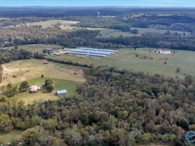 Land for sale in Sylvania, Alabama