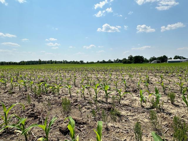 Land for sale in Saint Michael