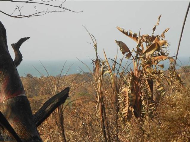 Property for sale in Ugu District Municipality, Kwazulu-natal