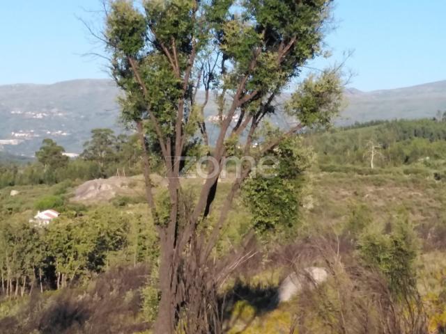 Terreno venda em Guarda, Seia