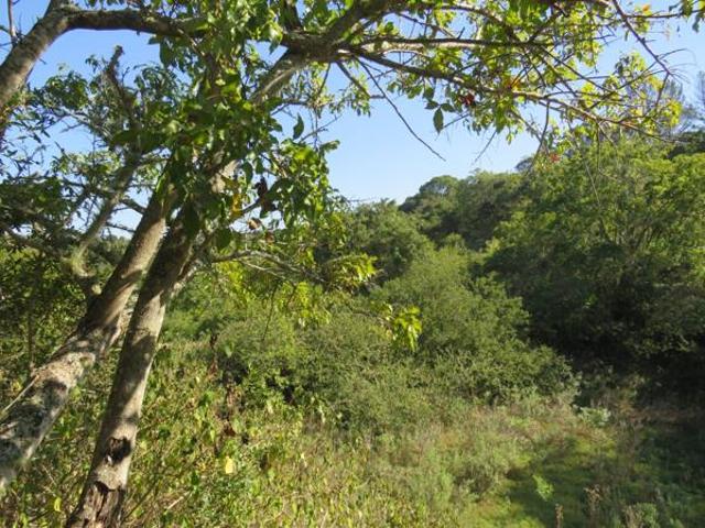 Property for sale in Bushmans River Mouth, Eastern Cape