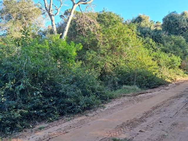 Property for sale in Bushmans River Mouth, Eastern Cape