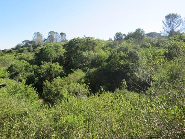 Property for sale in Bushmans River Mouth, Eastern Cape