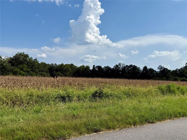 Land for sale in Ashford, Alabama