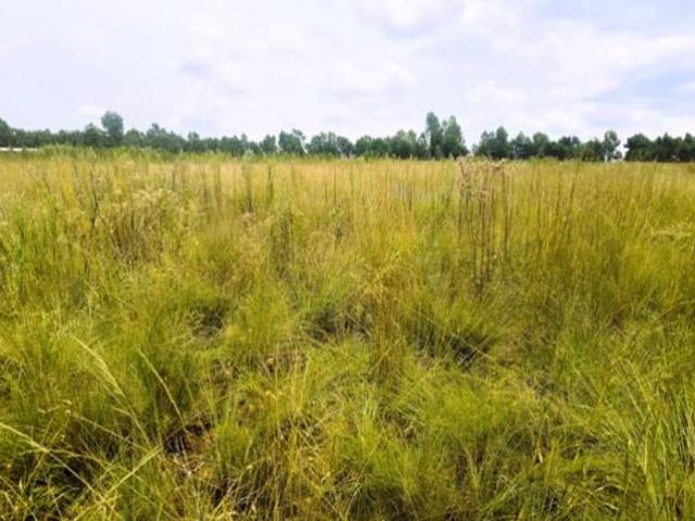 Land for sale in Vosloorus, Gauteng