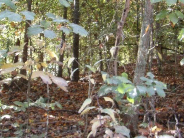 Land for sale in Tennessee