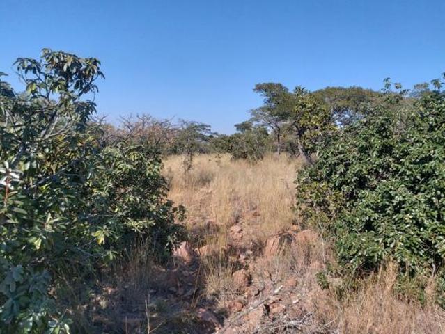 Property for sale in Limpopo
