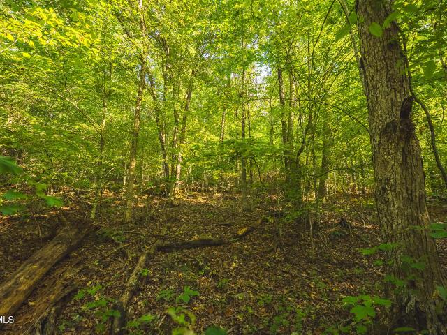 Land for sale in Tennessee