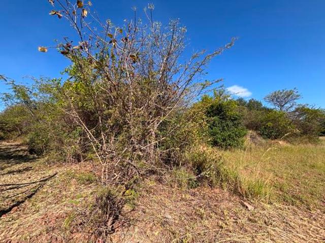 Property for sale in Limpopo