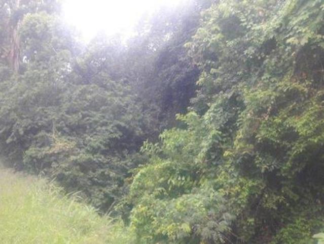 Land for sale in Ugu District Municipality, Kwazulu-natal
