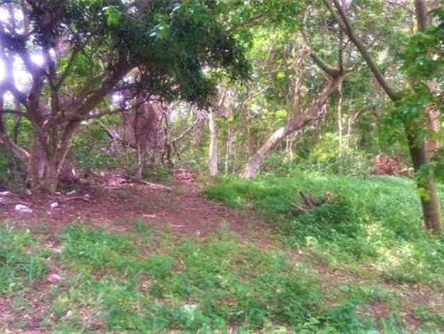 Land for sale in Ugu District Municipality, Kwazulu-natal