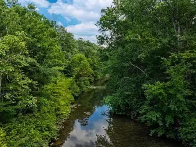 House for rent in Flat Rock, Alabama