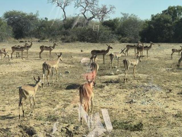 Property for sale in Mopani, Limpopo
