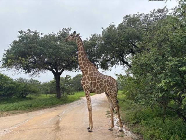 Property for sale in Mopani, Limpopo