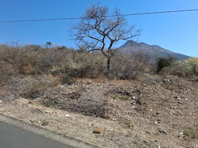 Land for sale in Greater Tubatse Municipality, Limpopo