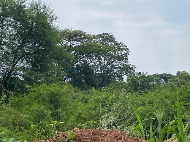 Farm for sale in Mopani, Limpopo