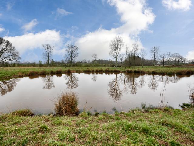 Property for sale in Ardmore, Alabama