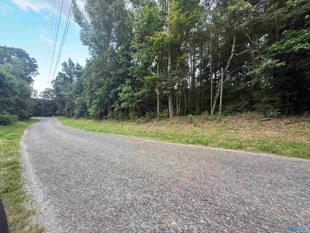 Land for sale in Grant, Alabama