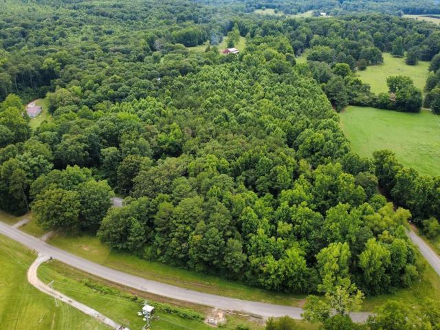 Land for sale in Falkville, Alabama