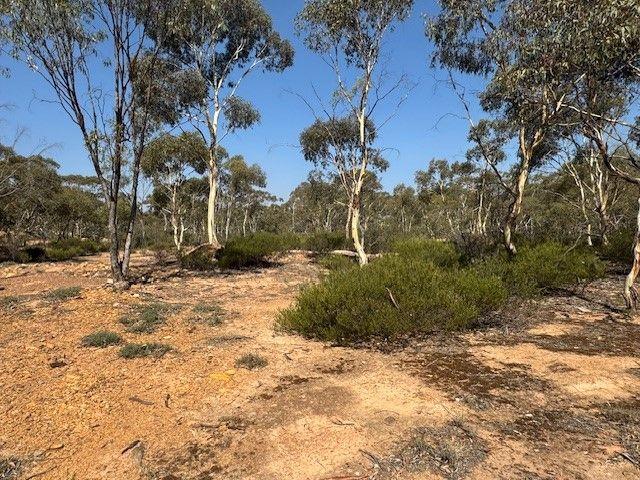 Land for sale in Wedderburn, Victoria