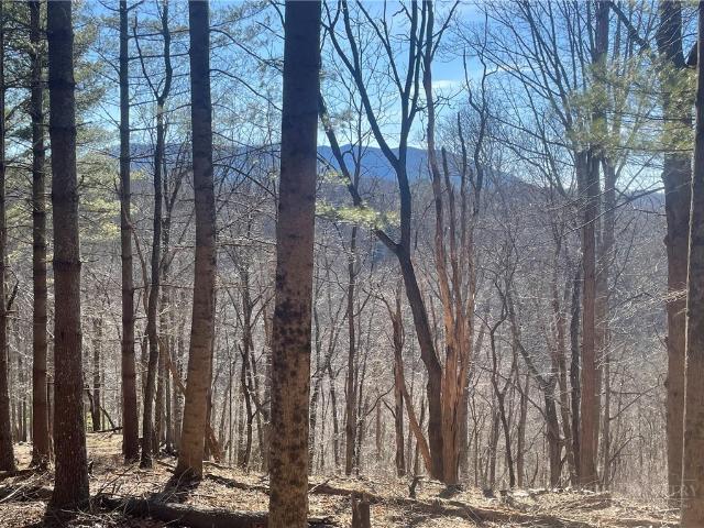 Land for sale in Lansing, North Carolina
