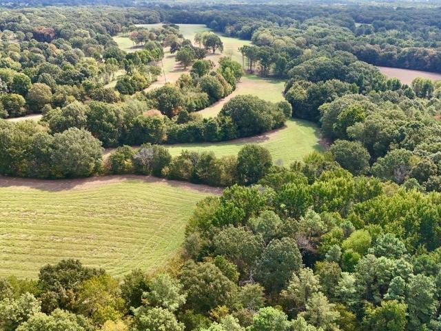 Land for sale in Tennessee