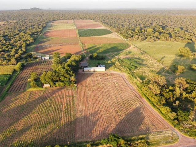 Farm for sale in Hartbeespoort Dam Nature Reserve, North West