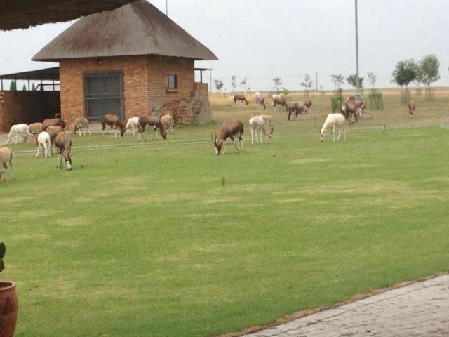 House for sale in Oranjeville, Free State