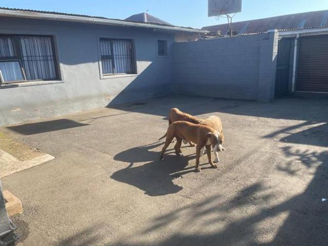 House for sale in Pietermaritzburg, Msunduzi Local Municipality