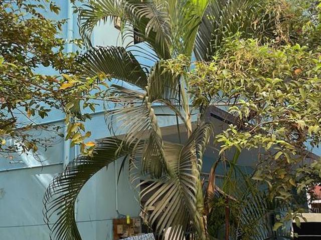 House for sale in Anna Nagar, Tamil Nadu