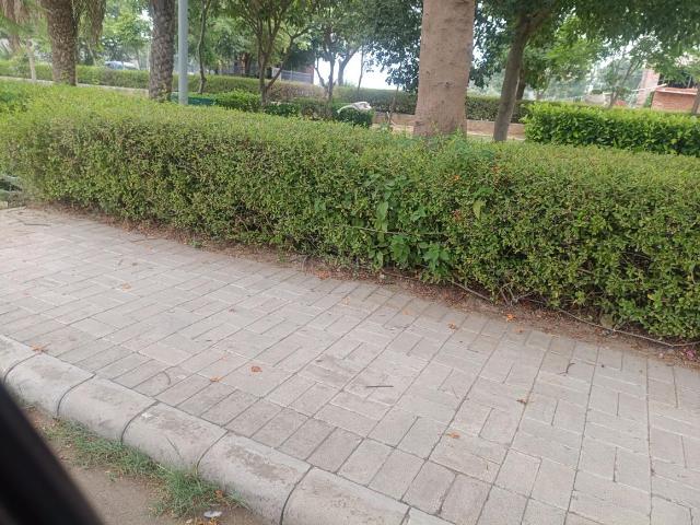 House for sale in Punjab