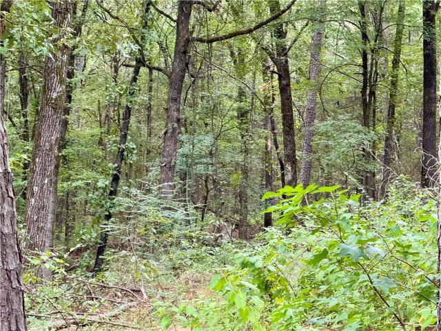 Land for sale in Ark