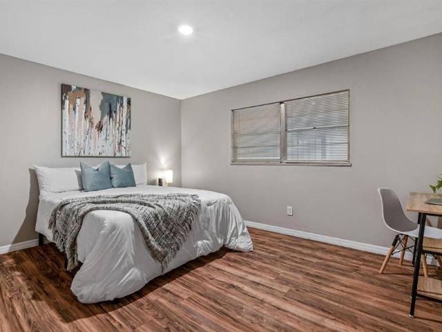 Room for rent in Palma Ceia, Tampa