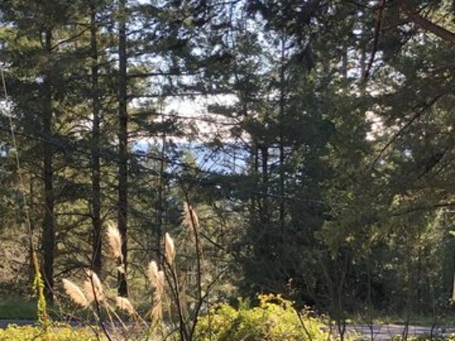 Land for sale in Humboldt, California