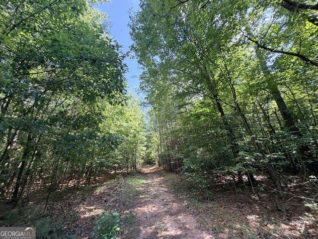 Land for sale in Tignall, Georgia