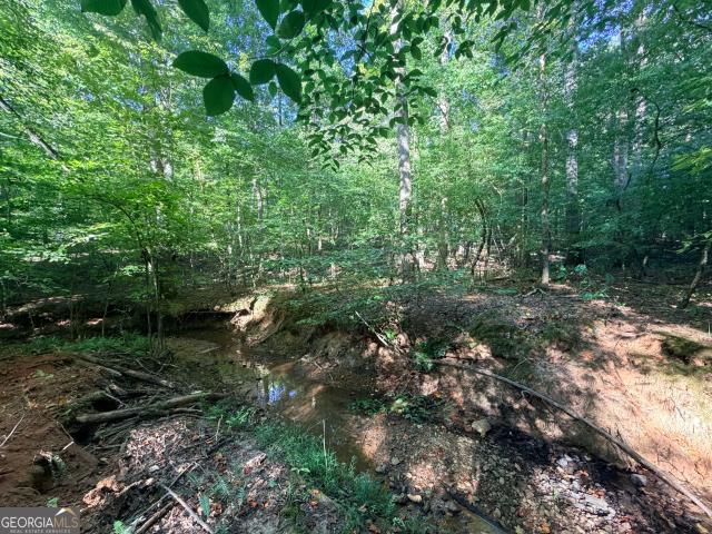 Land for sale in Tignall, Georgia